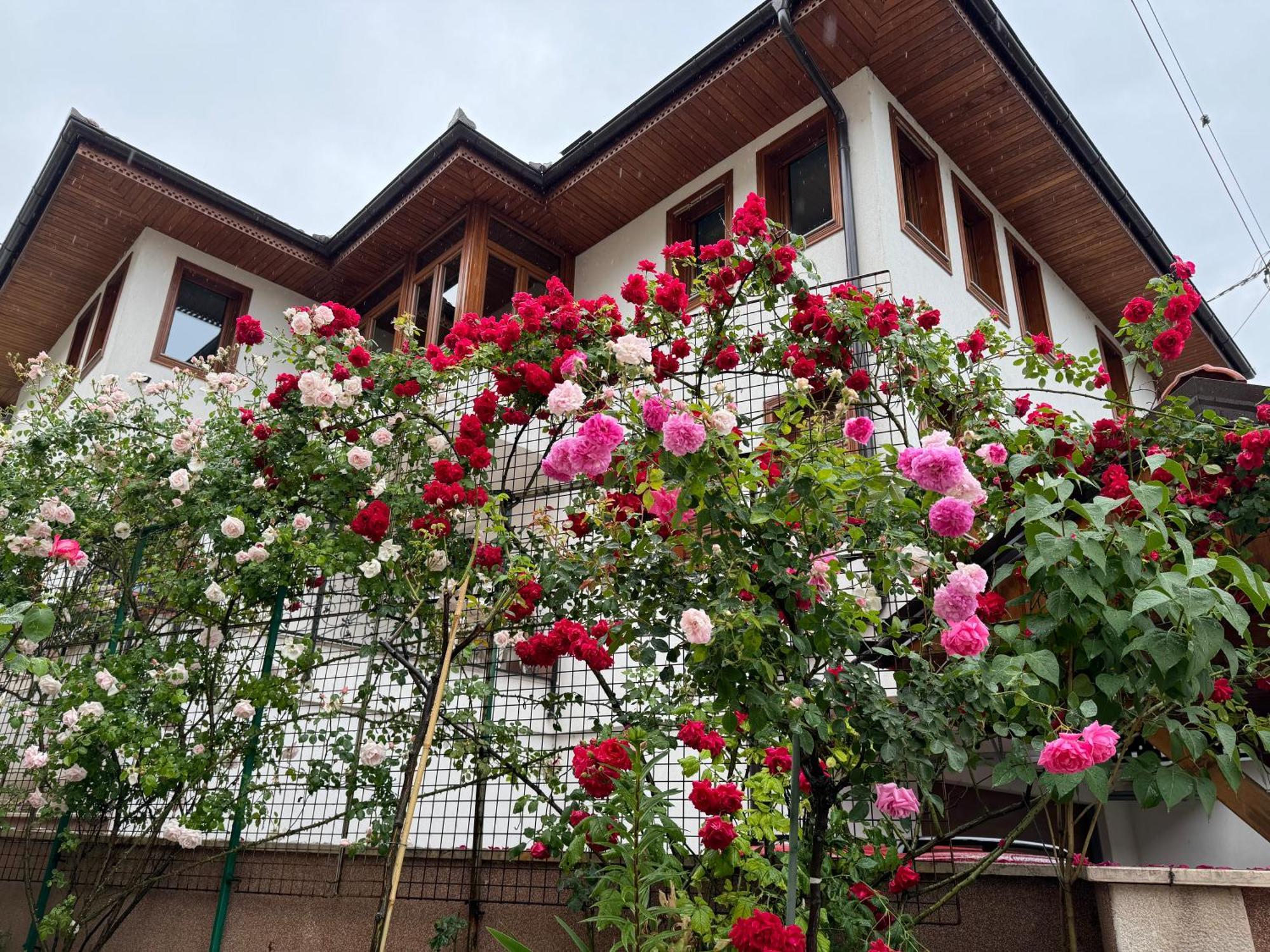 Imas Apartment Sarajevo Exterior foto